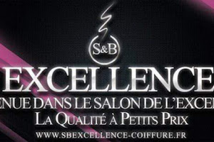 S&B EXCELLENCE COIFFURE