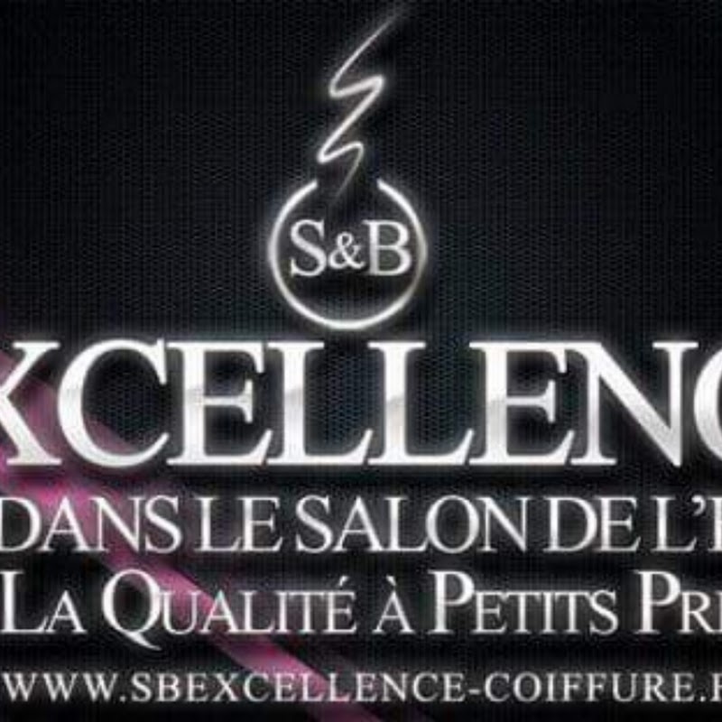 S&B EXCELLENCE COIFFURE