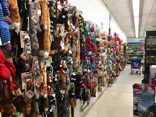 Pet Store «Blackwinds Pet Supplies», reviews and photos, 1946 Colvin Blvd, Tonawanda, NY 14150, USA