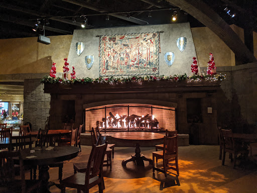 Dinner Theater «Medieval Times Dinner & Tournament», reviews and photos, 5900 Sugarloaf Pkwy #517, Lawrenceville, GA 30043, USA