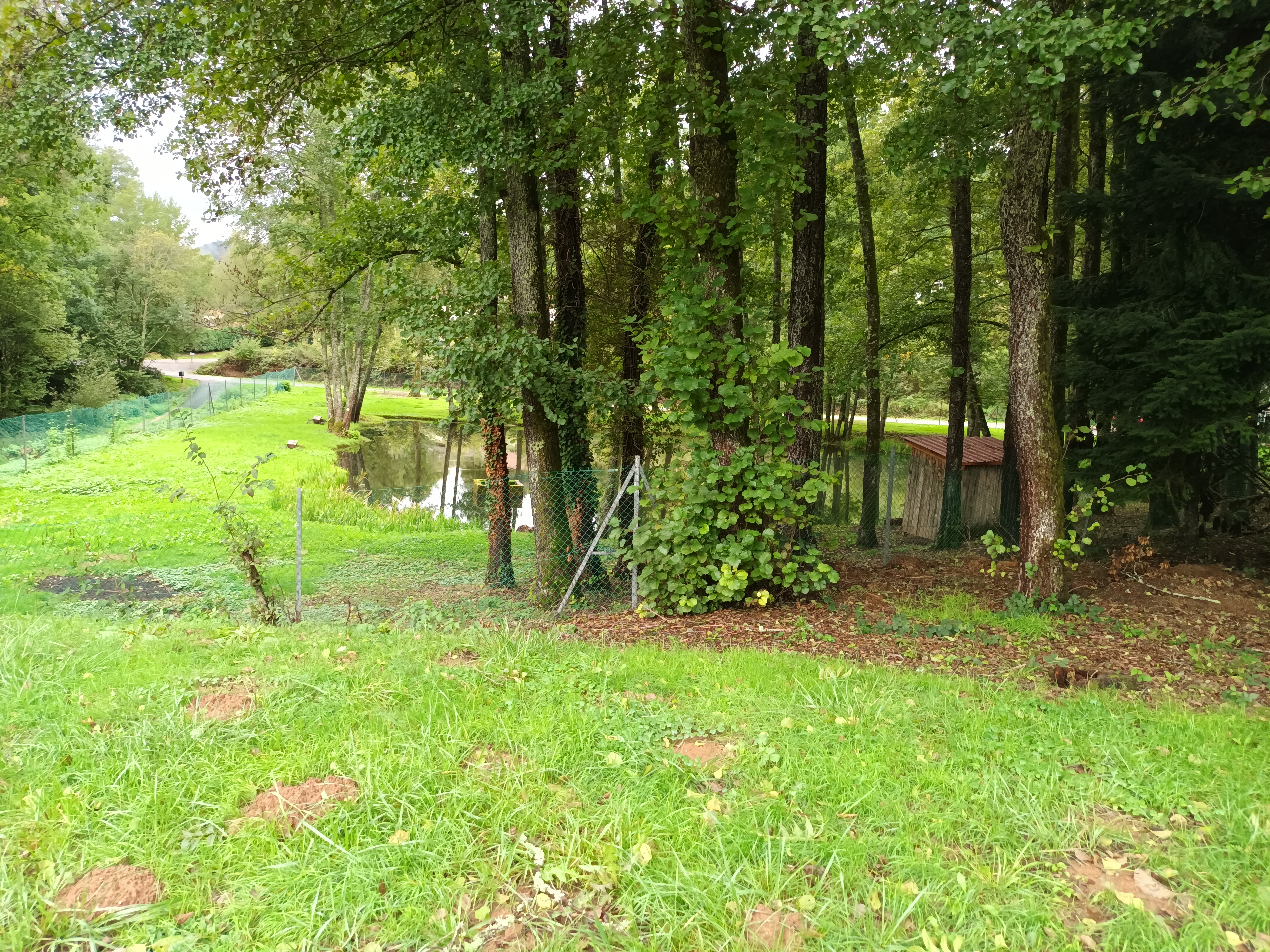 Photo n° 2 de l'avis de bernhardt.e fait le 28/09/2022 à 15:04