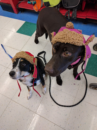 Pet Supply Store «Petco Animal Supplies», reviews and photos, 3380 124th Ave NW, Coon Rapids, MN 55433, USA