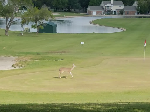 Golf Course «Mill Creek Golf Club», reviews and photos, 1610 Club Cir, Salado, TX 76571, USA