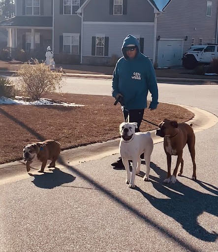 Blessed Oasis Pet Resort