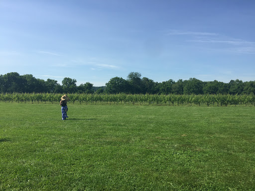 Vineyard «Boordy Vineyards», reviews and photos, 12820 Long Green Pike, Hydes, MD 21082, USA