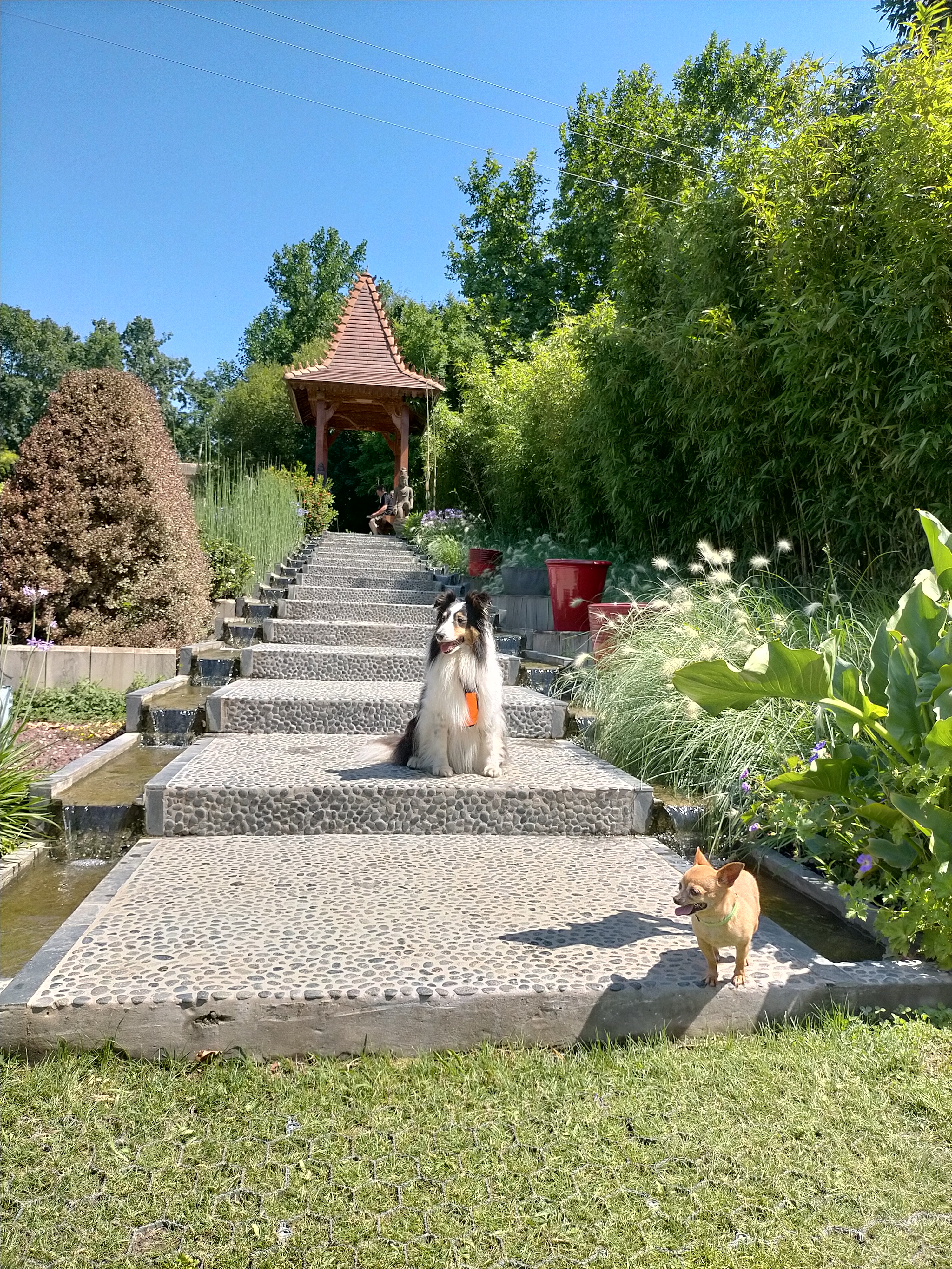 Photo n° 1 de l'avis de Nath.h fait le 04/07/2022 à 17:04