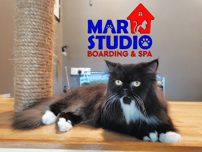 MAR STUDIO BOARDING & SPA