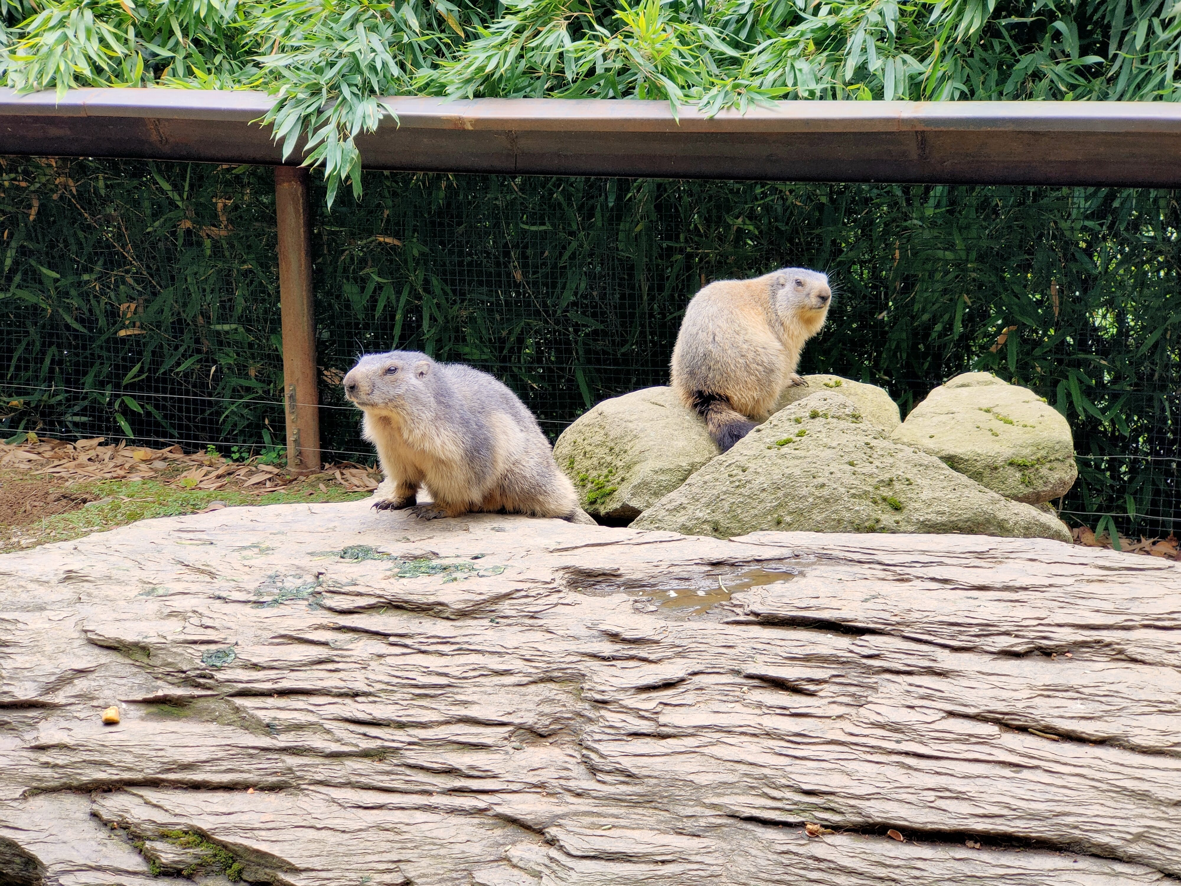 Photo n° 1 de l'avis de Anaïs. fait le 16/09/2023 à 19:36