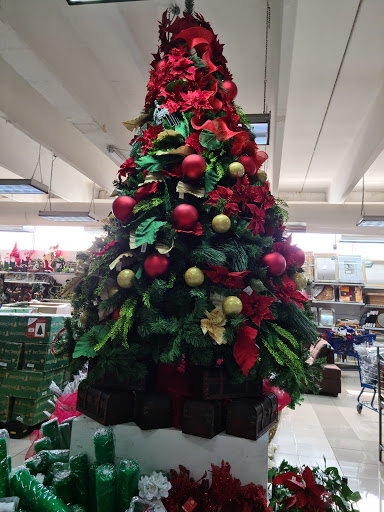 Christmas stores Santo Domingo