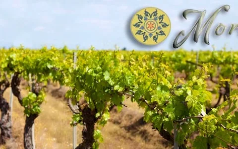 Moravia Wines & Event Venue image