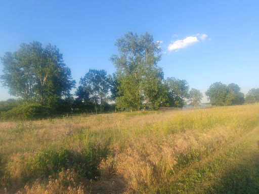 Nature Preserve «Audubon Center at Riverlands», reviews and photos, 301 Riverlands Way, West Alton, MO 63386, USA