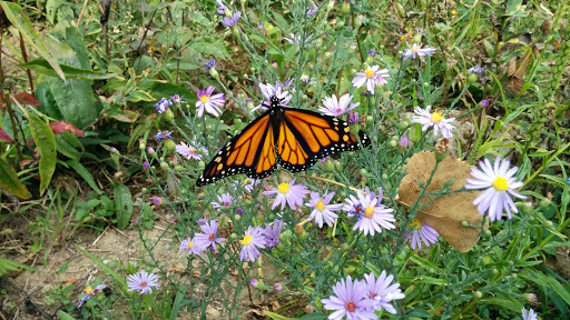 Nature Preserve «Grange Insurance Audubon Center», reviews and photos, 505 W Whittier St, Columbus, OH 43215, USA