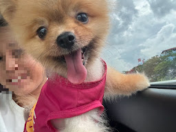 Petpink สาขา 1 - เพ็ทพิงค์ อาบน้ำ ตัดขน สปา สาขา เทพกุญชร42