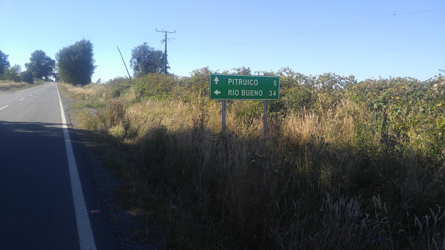 Vivero Las Araucarias - Lago Ranco