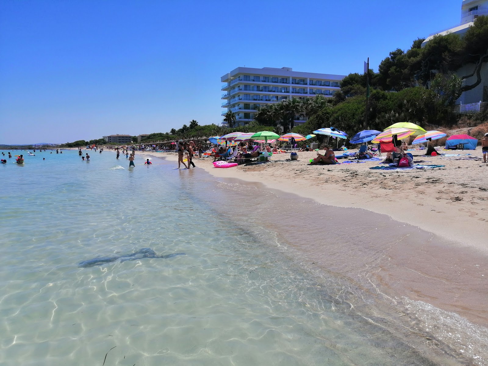 Foto von Alcudia Beach 2 annehmlichkeitenbereich