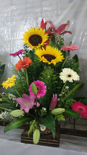 Florería Casa Orquídea – Jiutepec