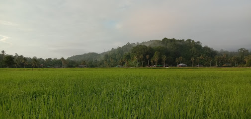 bendang kampung teluk batu