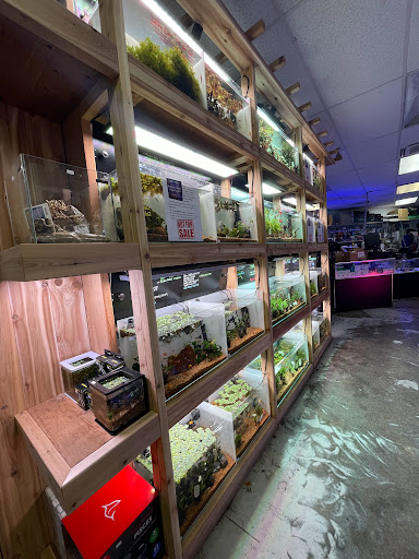 Tropical Fish Store «Barrier Reef Aquariums», reviews and photos, 1717 NE 44th St # A, Renton, WA 98056, USA