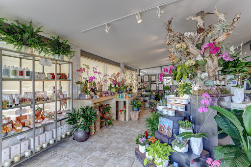 Florist «Dr Delphinium Flower & Orchid House», reviews and photos, 513 W Campbell Rd, Richardson, TX 75080, USA