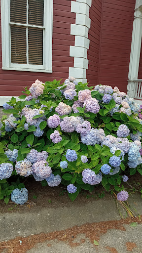 Park «Fort Totten Park», reviews and photos, Totten Ave & 15 Rd, Bayside, NY 11359, USA