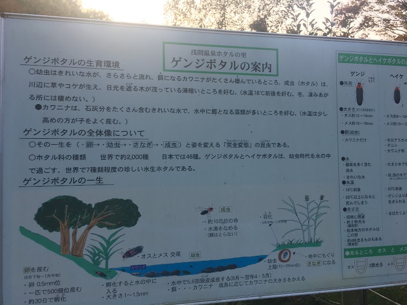 浅間温泉ホタルの里 長野県松本市浅間温泉 公園 グルコミ