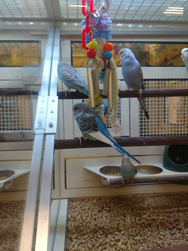 Pet Supply Store «PetSmart», reviews and photos, 1561 N Dysart Rd, Avondale, AZ 85323, USA