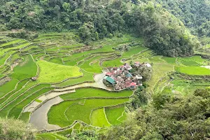 Bangaan Ifugao Rice Terraces image