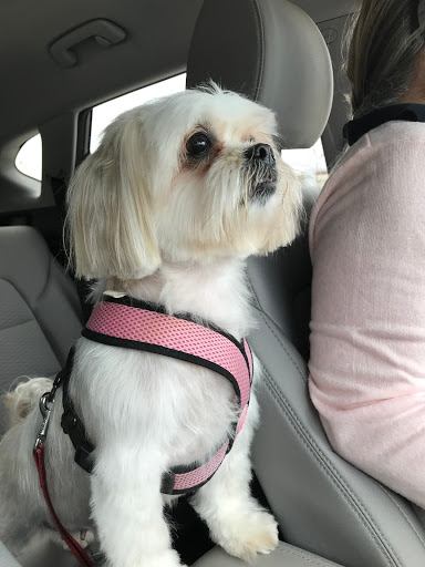 Pet Store «PetSmart», reviews and photos, 6545 North Grand Parkway West Suite 104, Spring, TX 77389, USA