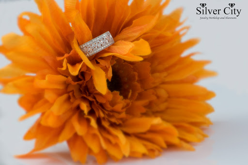 Jewelry Store «Silver City Stamp & Coin Co», reviews and photos, 3205 E Silver Springs Blvd, Ocala, FL 34470, USA