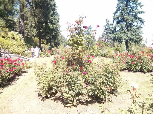 Garden «Portland Japanese Garden», reviews and photos, 611 SW Kingston Ave, Portland, OR 97205, USA