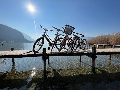 ROUL’ Ma POULE Location Vélo électrique prix Annecy le Vieux