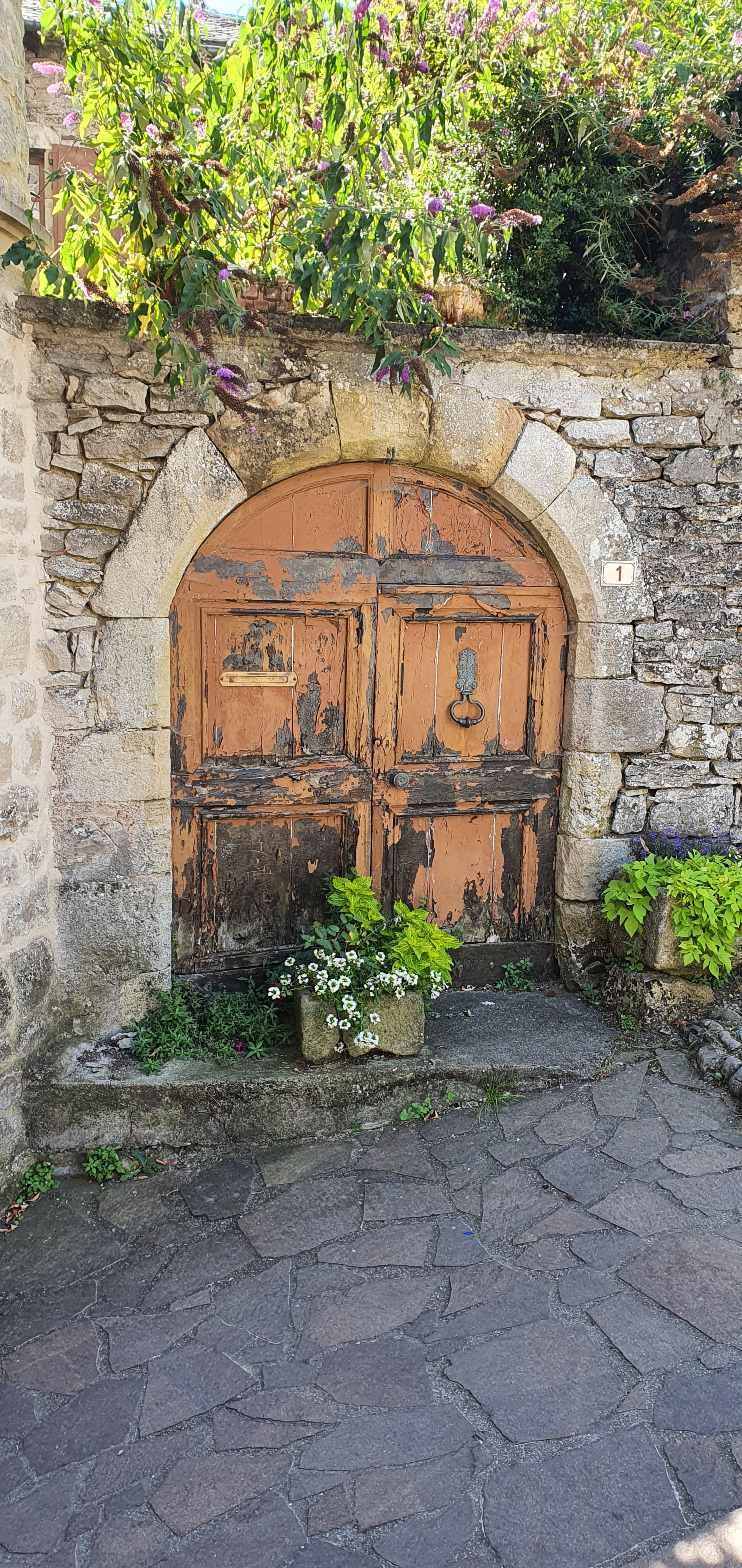 Photo n° 41 de l'avis de Yves.i fait le 19/08/2021 à 19:43