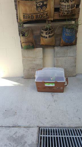 Coffee Store «Bird Rock Coffee Roasters», reviews and photos, 1270 Morena Blvd, San Diego, CA 92110, USA