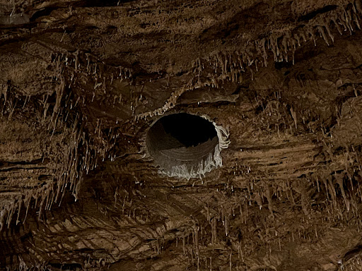 Tourist Attraction «Inner Space Cavern», reviews and photos, 4200 I-35, Georgetown, TX 78626, USA