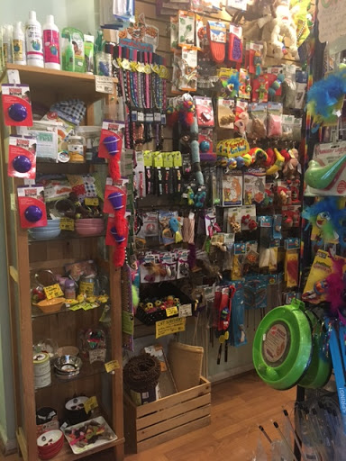 Pet Supply Store «BONeJOUR Pet Supply and Dog Wash», reviews and photos, 53 N 3rd St, Philadelphia, PA 19106, USA