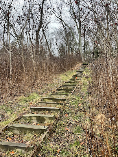 Ives Trail (stairs)