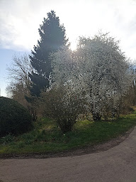 Photo n°11 de Stade Raymond Fémel à Lery ()