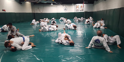 Gracie University of Jiu-Jitsu