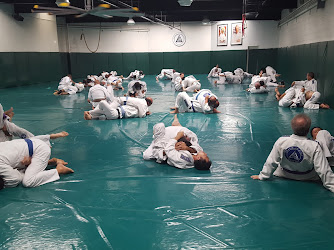 Gracie University of Jiu-Jitsu