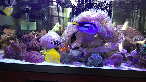 Tropical Fish Store «Glasscages.com LLC», reviews and photos, 1500 E Piney Rd, Dickson, TN 37055, USA