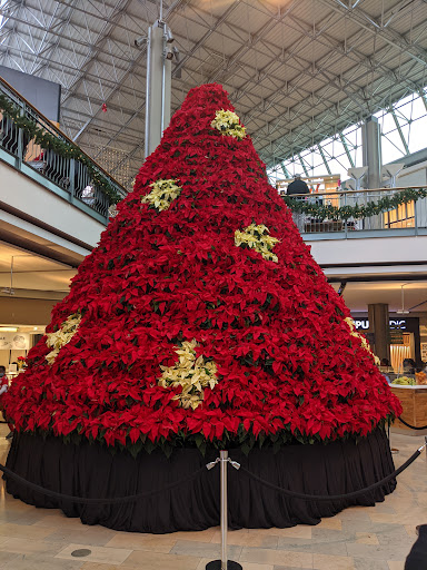 Shopping Mall «The Mall in Columbia», reviews and photos, 10300 Little Patuxent Pkwy, Columbia, MD 21044, USA