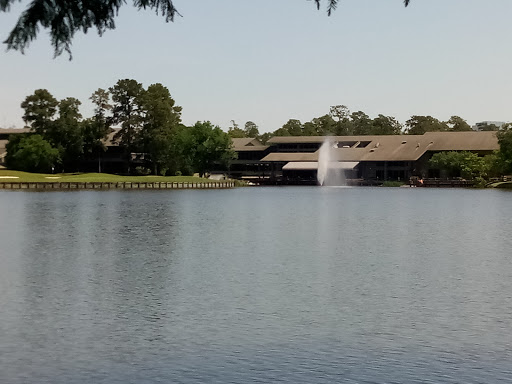 Grocery Store «Randalls», reviews and photos, 2250 Buckthorne Pl, Spring, TX 77380, USA