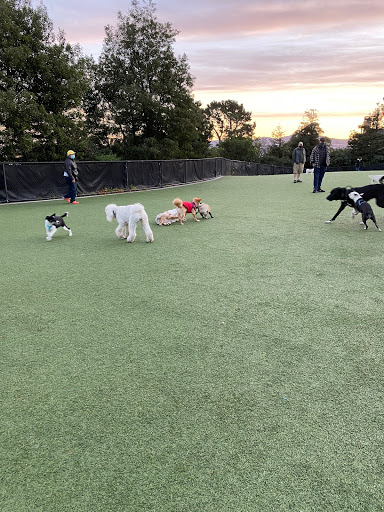 Walter Haas Dog Park