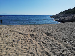 Photo de Emerald beach avec un niveau de propreté de très propre