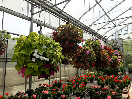 Produce Market «Dzen Garden Market», reviews and photos, 187 Windsorville Rd, Ellington, CT 06029, USA