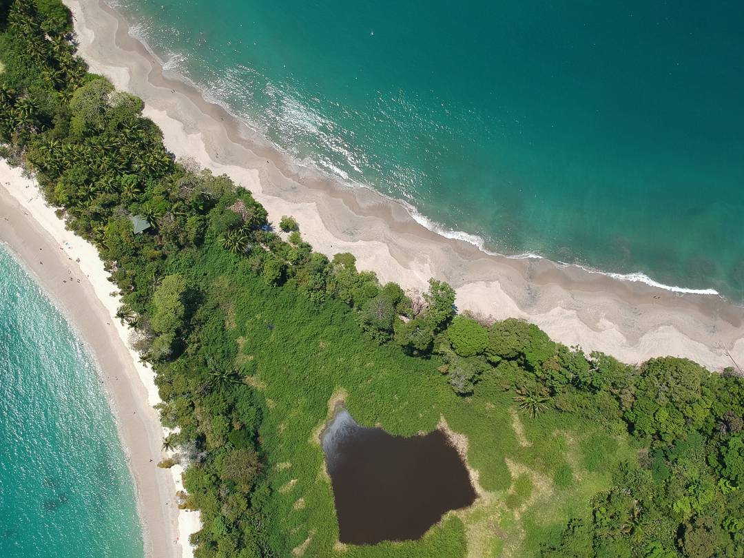 Playa Espadilla Sur的照片 位于自然区域