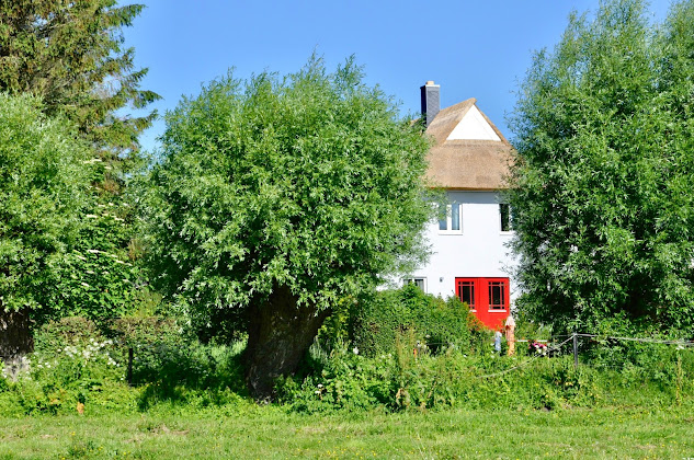 Immobilier Ferienhausvermietung Hyggelig Hus 18347 Ahrenshoop