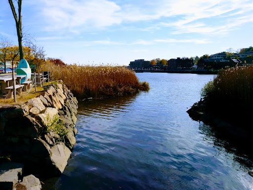 Clothing Store «Gap», reviews and photos, 125 Main St, Westport, CT 06880, USA