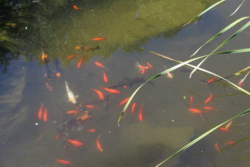 Day Care Center «Little Lambs Day Care, Inc.», reviews and photos, 837 Sumneytown Pike, Lansdale, PA 19446, USA