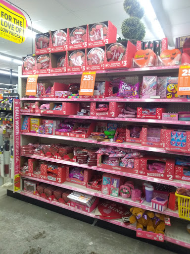 Home Goods Store «Dollar General», reviews and photos, 3457 N Flynn Rd, Westville, IN 46391, USA